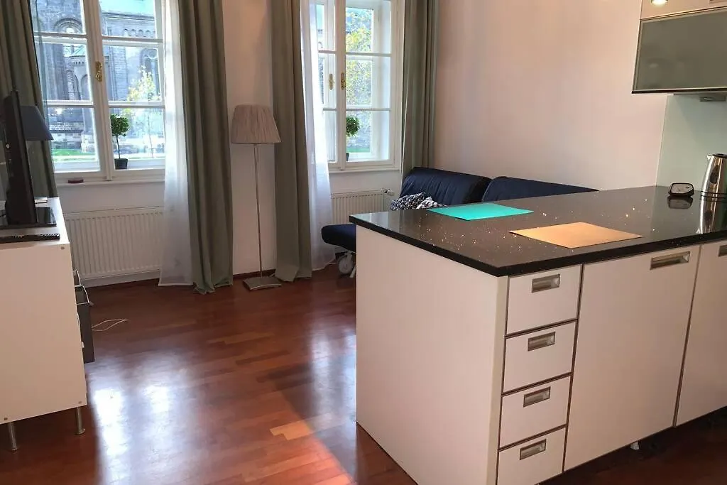 Apartment Karlin Praha Česká republika