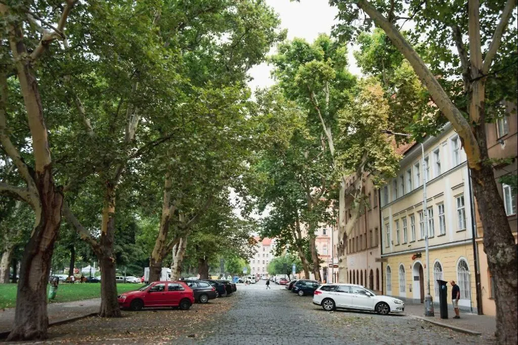 Apartment Karlin Prague
